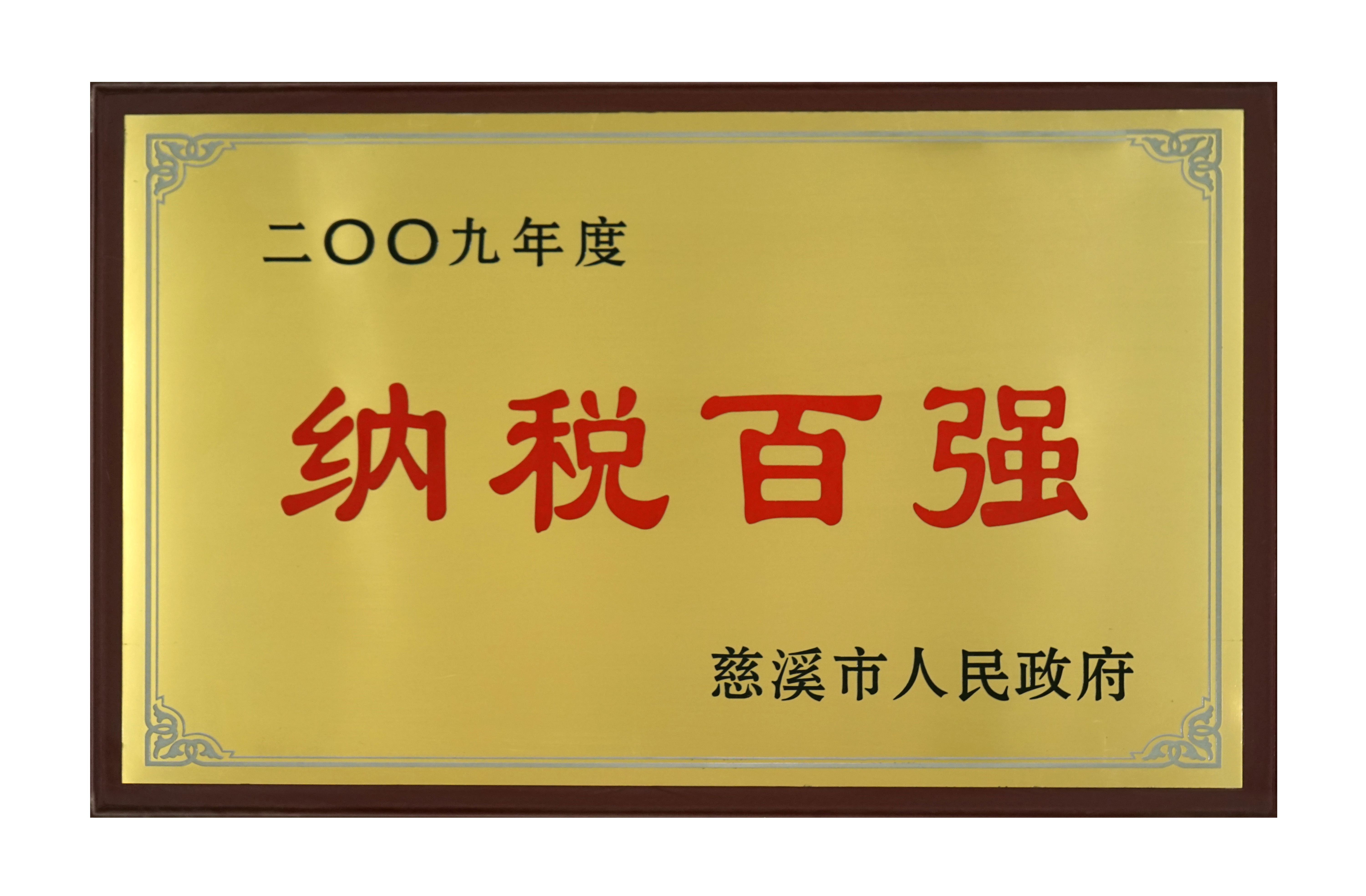納稅百強（qiáng）2009