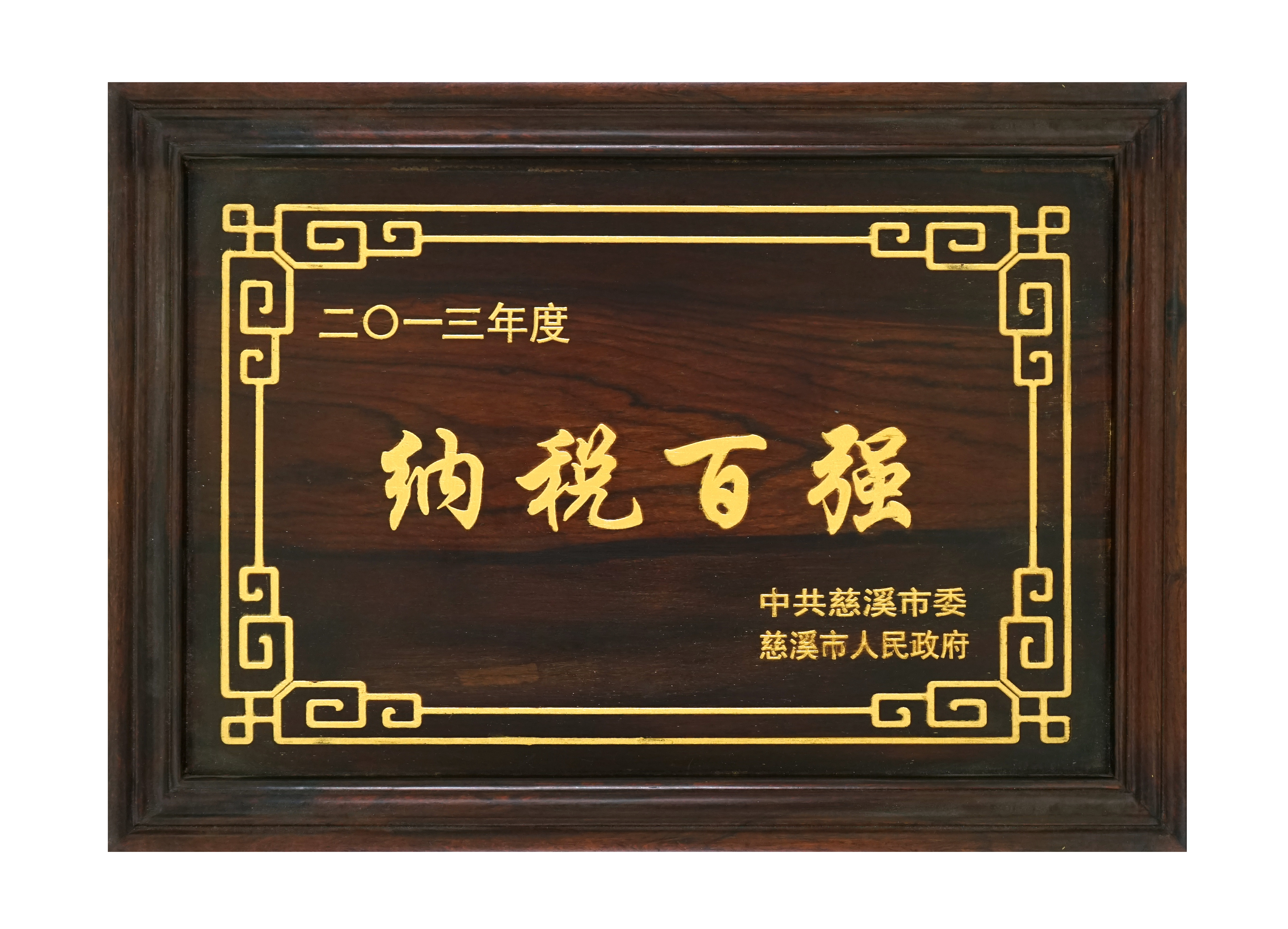 納稅百強2013