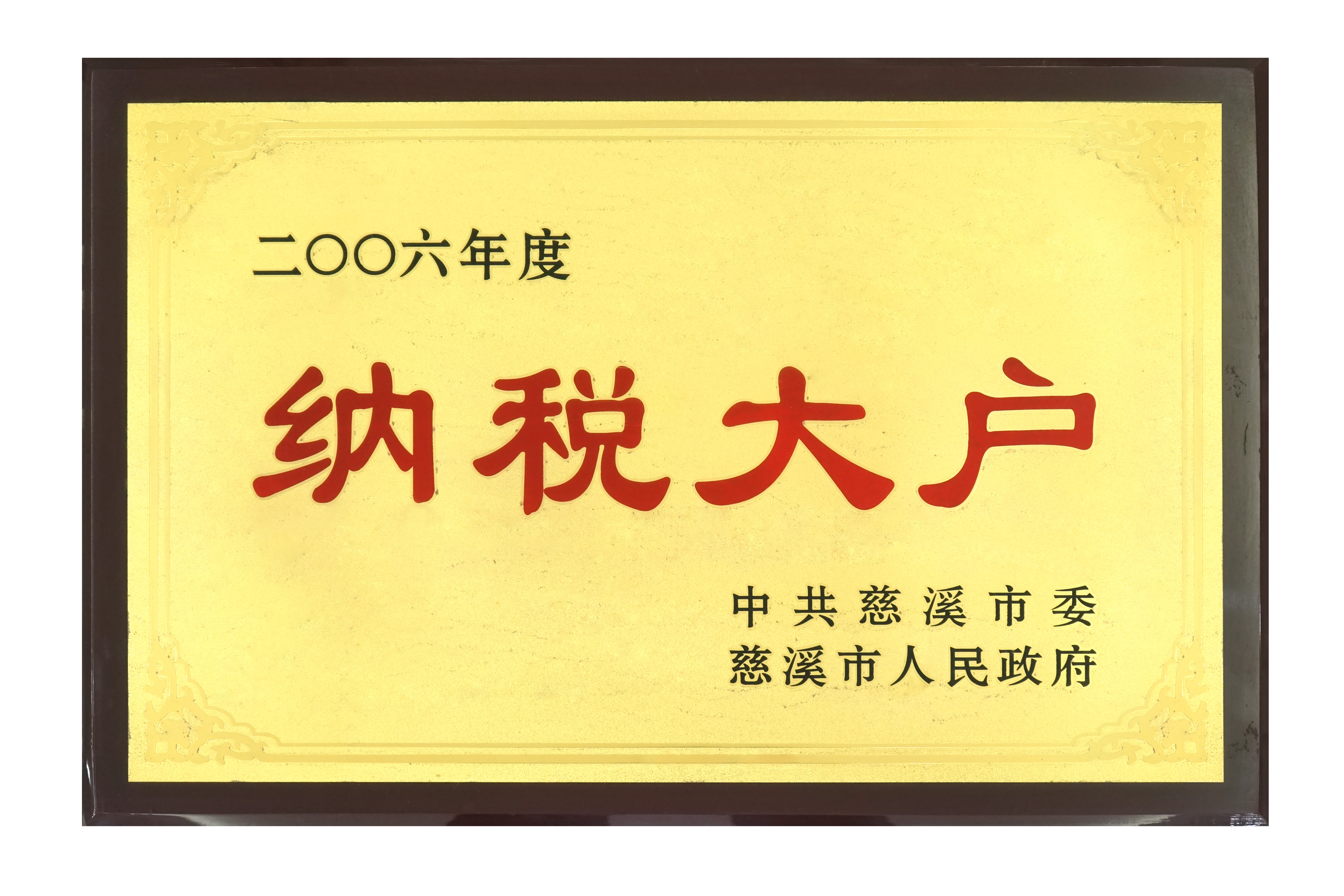 納（nà）稅大戶2006