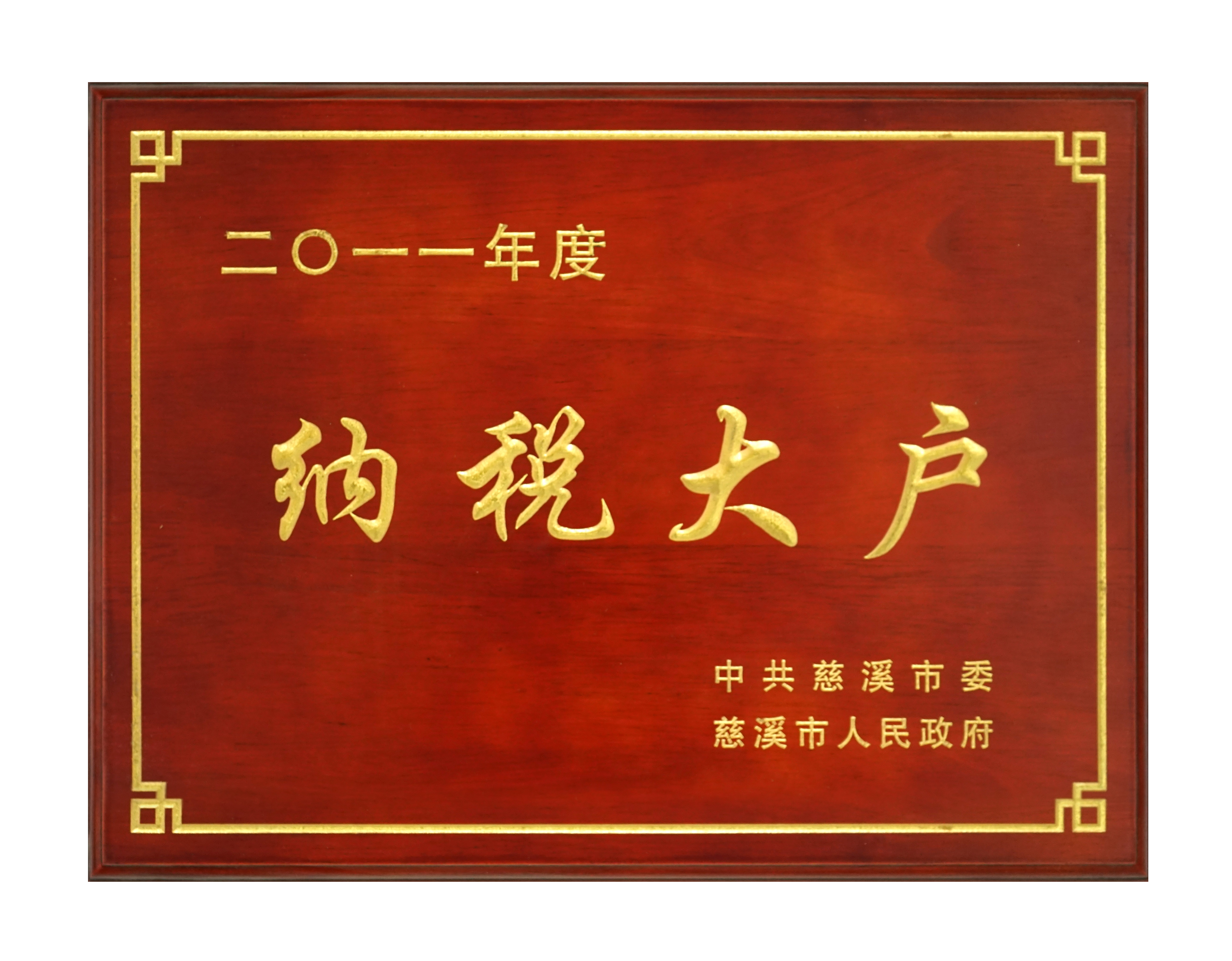 納稅大戶2011