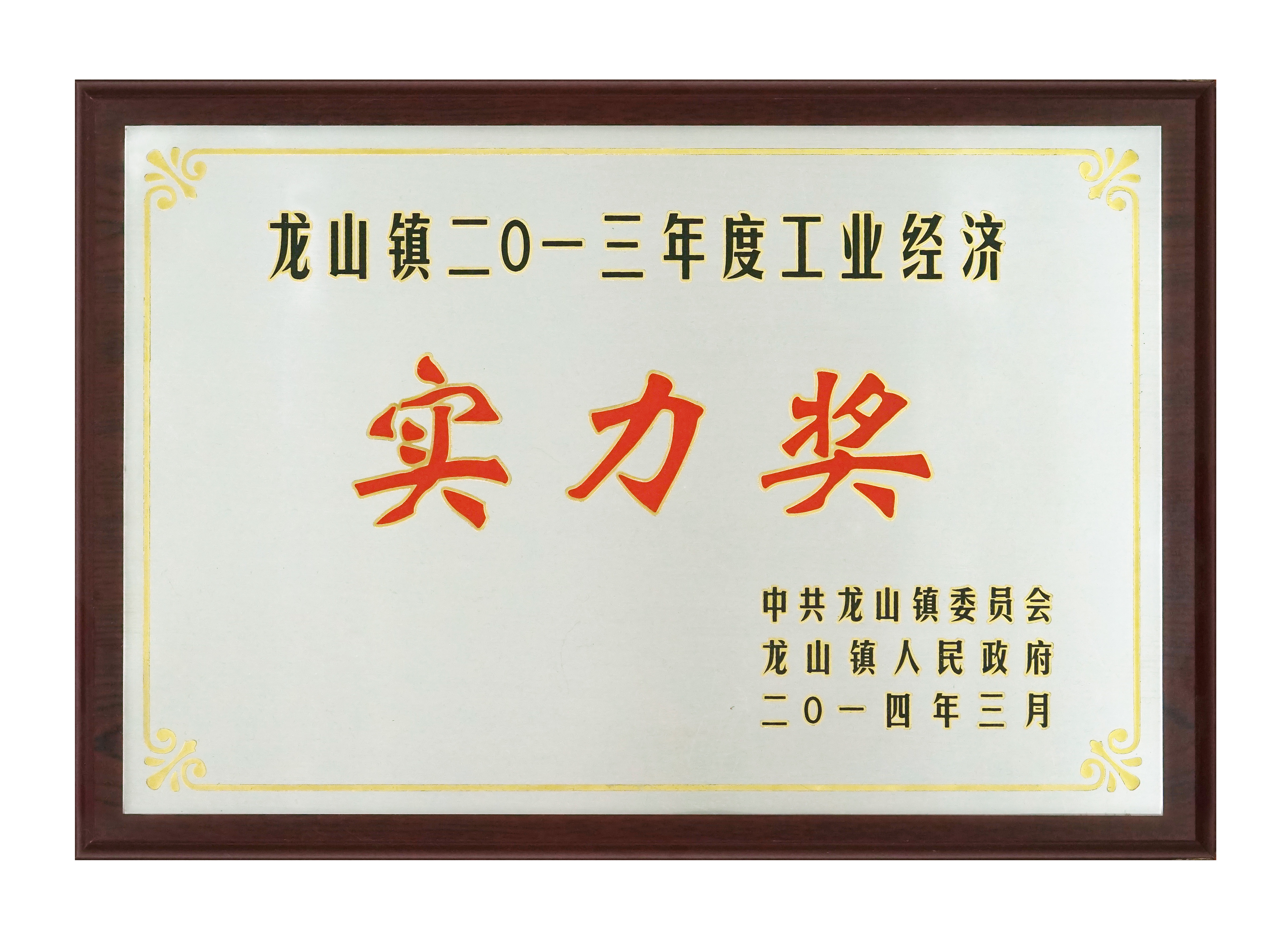 實力獎（jiǎng）2014