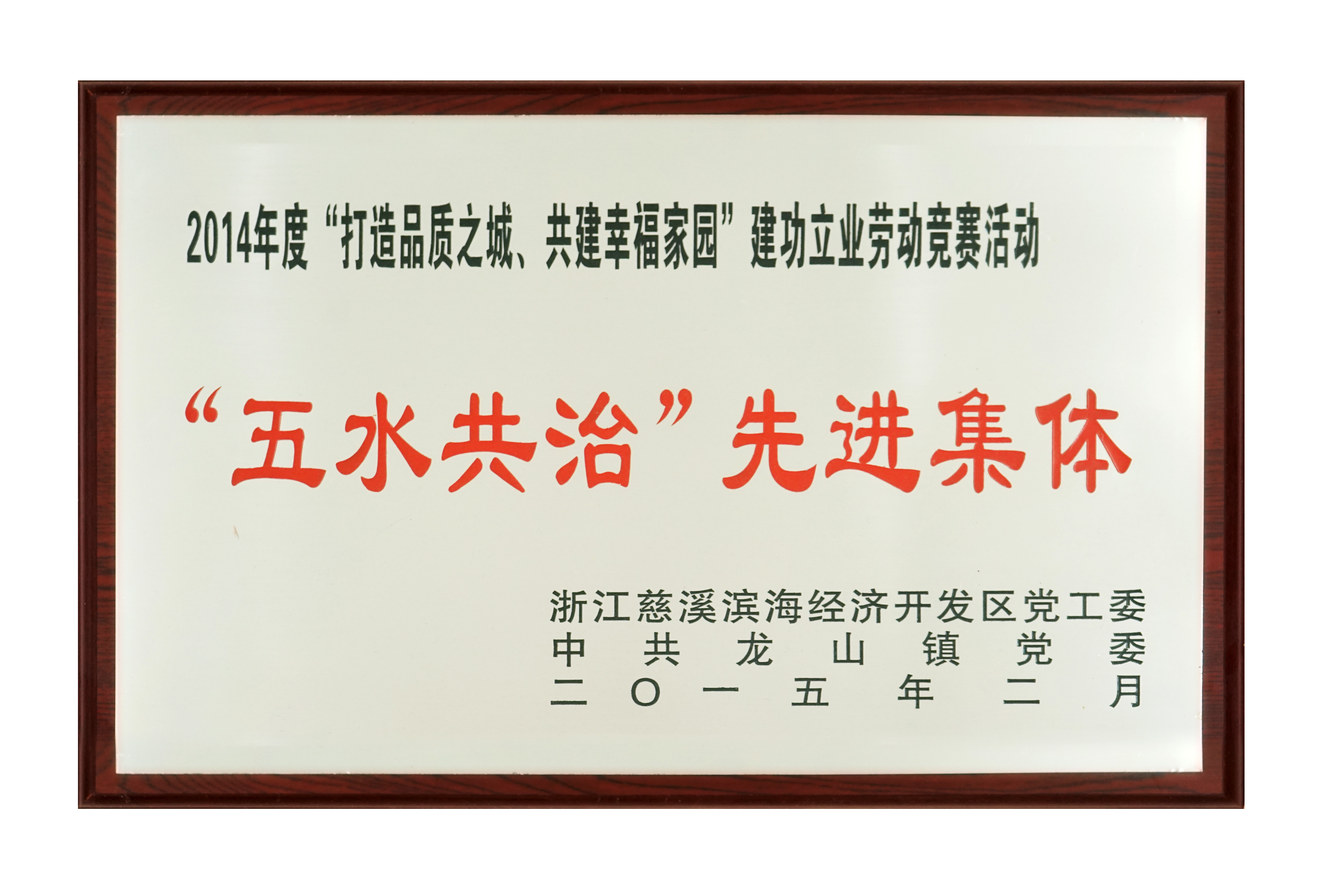 五水共治（zhì） 先進集（jí）體2015